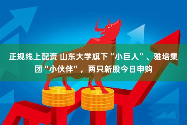 正规线上配资 山东大学旗下“小巨人”、雅培集团“小伙伴”，两只新股今日申购