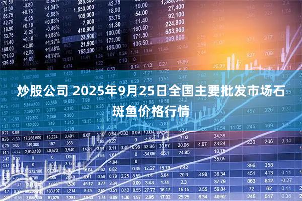 炒股公司 2025年9月25日全国主要批发市场石斑鱼价格行情